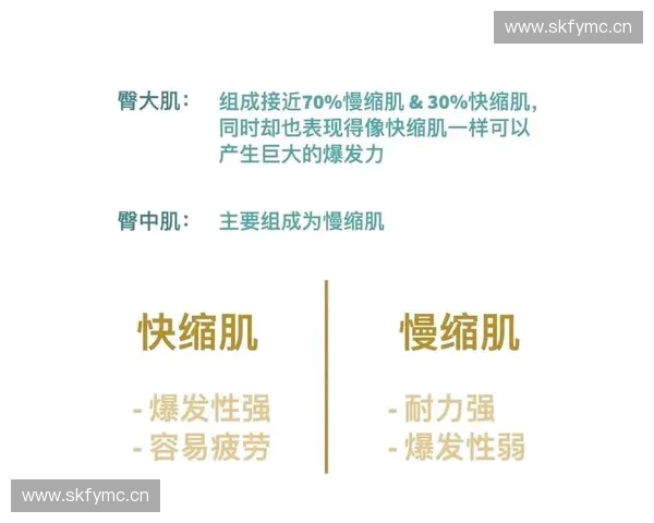 打造强劲臀部爆发力的科学训练方法与实战提升指南全方位进阶策略