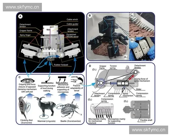 基于运动分析技术的智能化训练系统研究与应用探讨